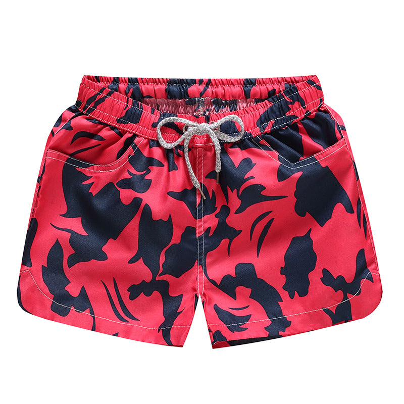 Buy Men's Quick Dry Swim Trunks with Mesh Lining - Funny Swimwear at Ravish Wears