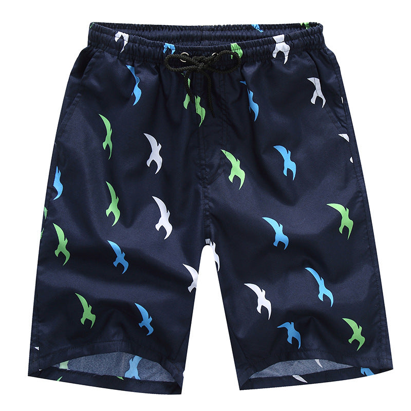 Buy Men's Quick Dry Swim Trunks with Mesh Lining - Funny Swimwear at Ravish Wears